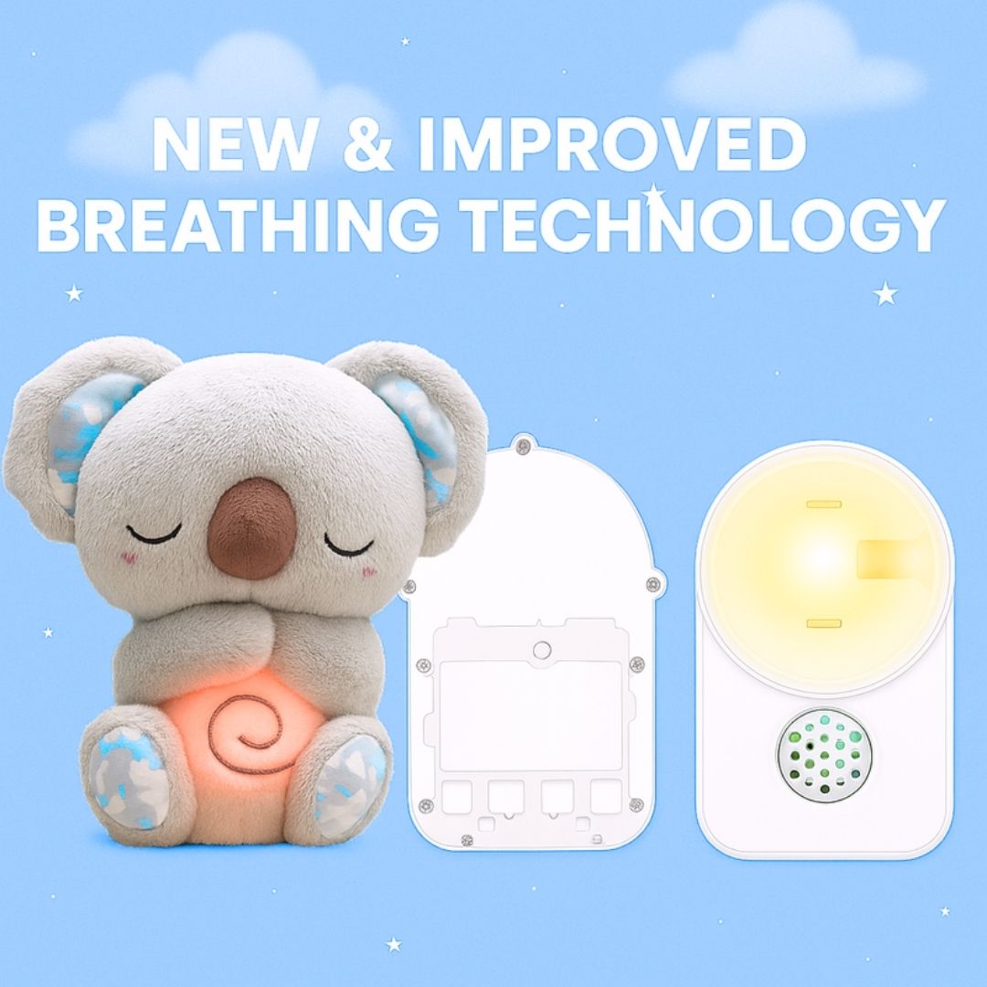 Dream Koala